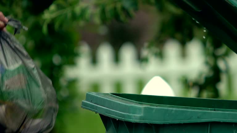 Best Moving and Downsizing Cleanouts  in Belding, MI